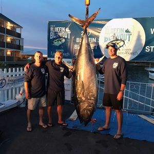 Meet your Posher, Paul